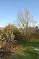 dsc_0005.jpg 122092 bytes